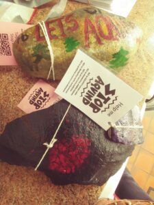 Let's Stop Aquind Kindness Rocks Project in Portsmouth